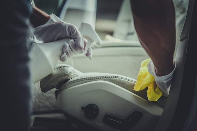 How to clean urine from perforated leather car seat